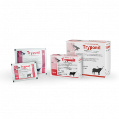 Tryponil